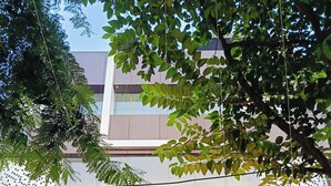 The entrance of the Celestial Inn with a staircase leading up to the entrance, decorated with purple drapes and floral arrangements. - CELESTIAL INN (Prayagraj)