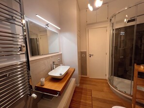 Shower, hair dryer, bidet, towels