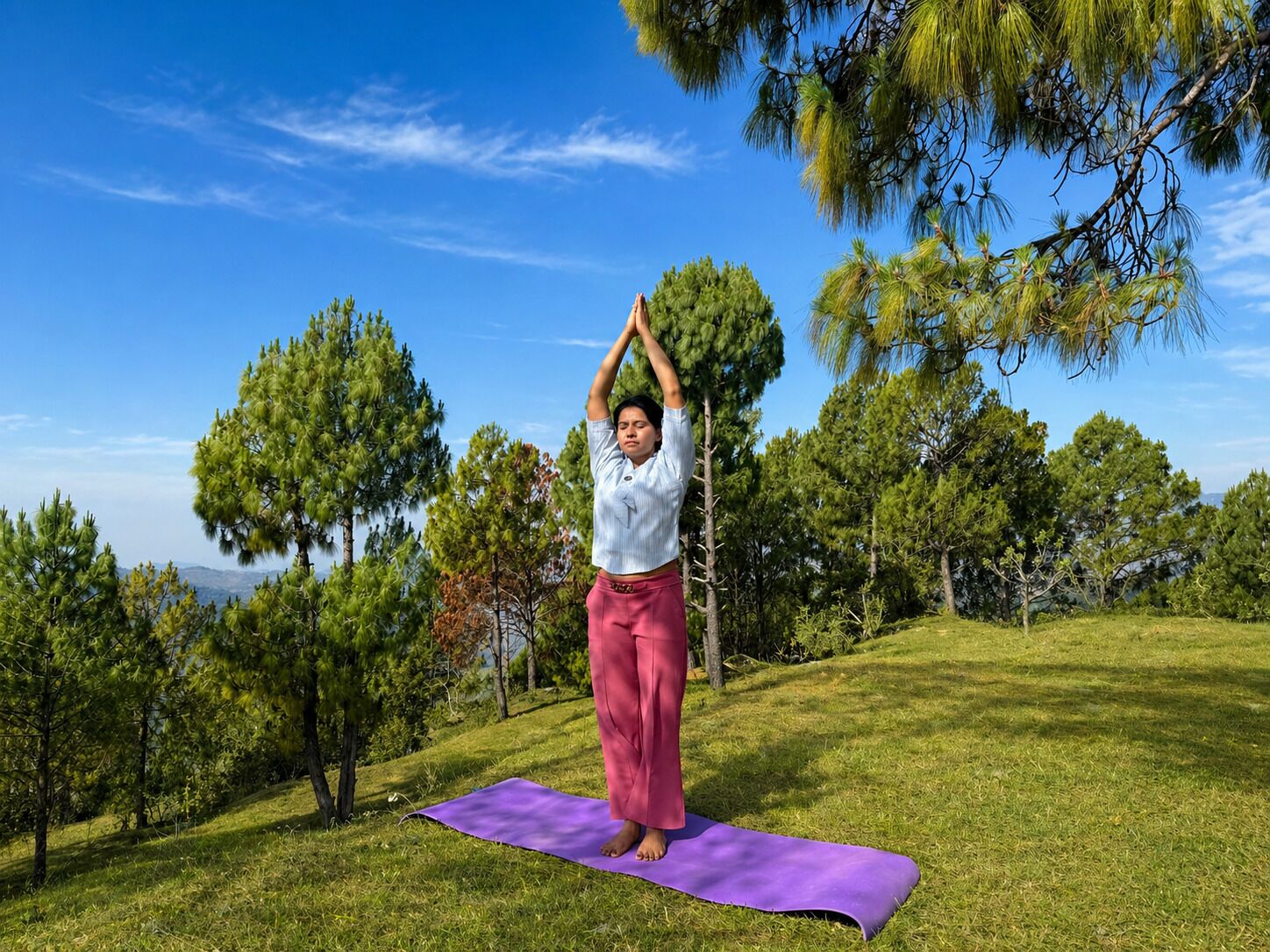A person performing a yoga pose on a purple mat in a grassy outdoor area with trees and a clear sky.