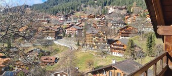 Traditional chalet in Wengen - Top Floor