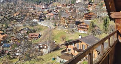 Traditional chalet in Wengen - Top Floor