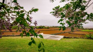 Casa | 7 dormitorios