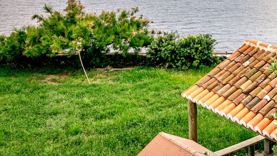 Casa da Rocha in Cinco Ribeiras