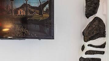 A wall-mounted television displaying a scenic image of a rural landscape with a house and a bridge.
