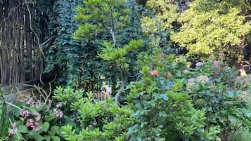 Vistas al jardín