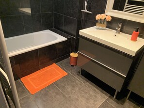 Ducha, secador de pelo, toallas y papel higiénico