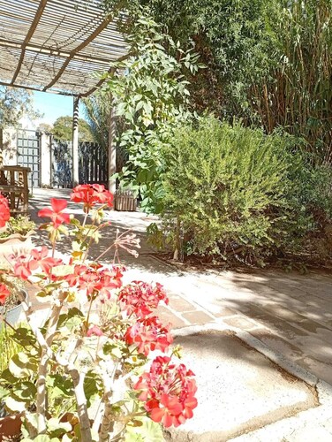 House type apartment (pet friendly)