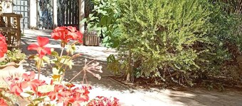 House type apartment (pet friendly)