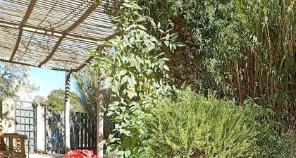 House type apartment (pet friendly)