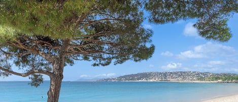 Beach nearby, white sand