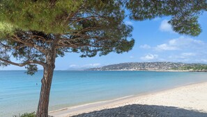 A beach with clear blue water, a sandy shore, and a tree in the foreground.