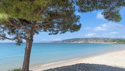 Les 15 Pins & La Mer -  Riviera Escape Apartments with Pool & Garden