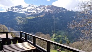 Une terrasse en bois offrant une vue sur des montagnes enneigées et une vallée boisée.