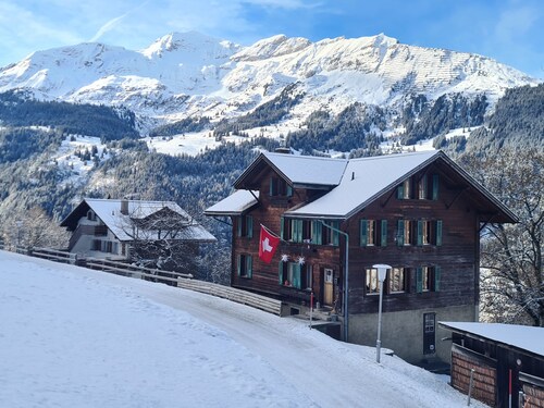Traditional chalet in Wengen - Parterre or Ground