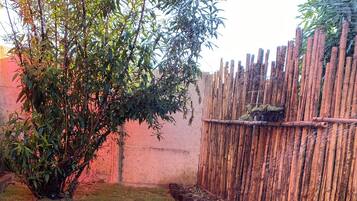 Un patio trasero con cerco de madera, un árbol pequeño y una zona cubierta de césped.