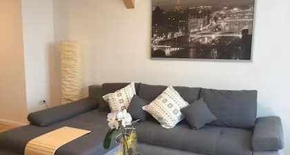 Willkommen im Fränkischen Seenland - der Triathlon-Hochburg