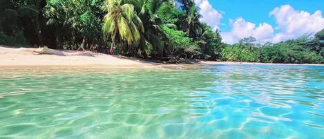 Playa