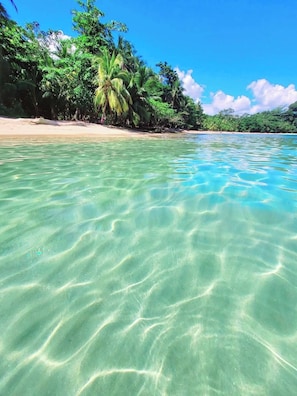 A clear tropical beach with shallow turquoise water, palm trees, and a sandy shore.