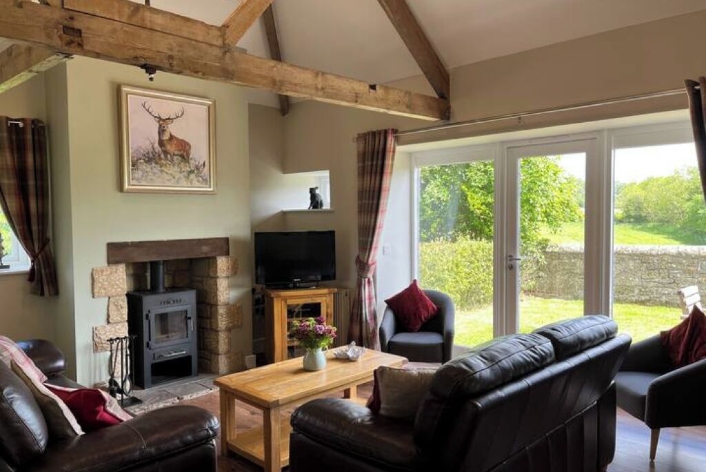 Smart-tv, een open haard, een dvd-speler en boeken