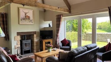 Smart-tv, een open haard, een dvd-speler en boeken