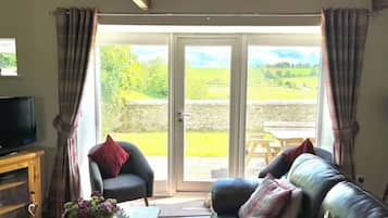 Smart-tv, een open haard, een dvd-speler en boeken