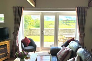 Smart TV, chimenea, reproductor de DVD y libros 