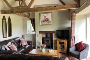 Smart TV, fireplace, DVD player, books