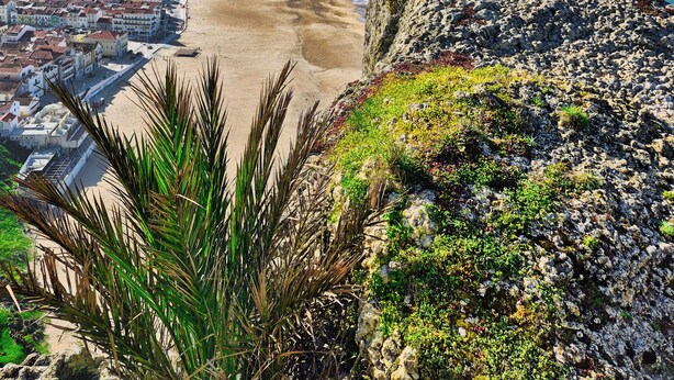 A coastal cityscape with a beach, rocky terrain, and a clear sky. - Peaceful Farmhouse Retreat Near Nazaré | 3BR Countryside Stay Minutes to Beach (Quinta Nova, Famalicao, Portugal)