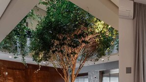Eine großzügige Lobby mit einem großen Kübelbaum, einer Holztür und einem Aufzug.