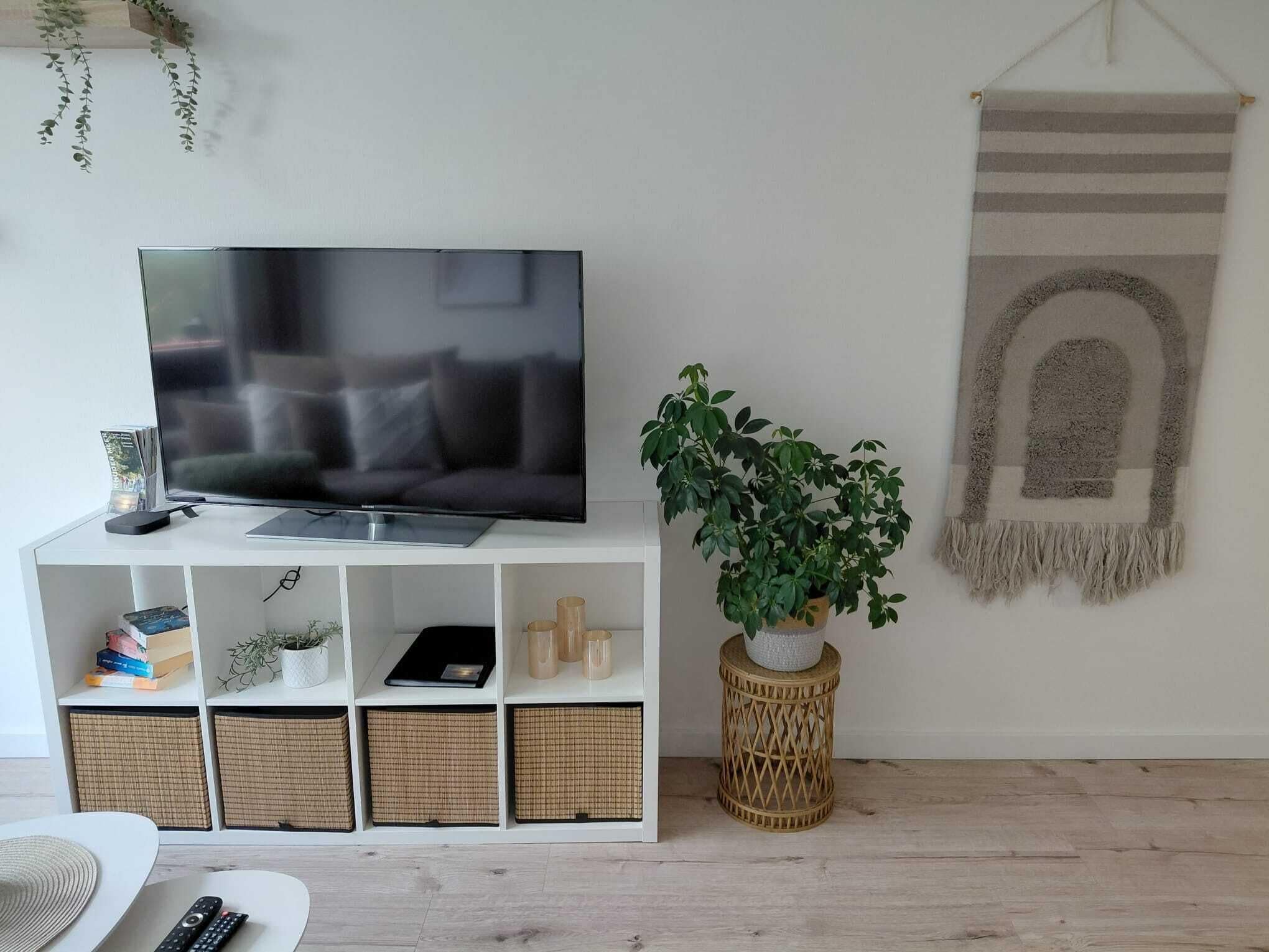 A living room with a flat-screen TV on a white stand, a potted plant, and a wall-mounted tapestry.
