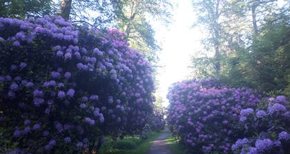 Sea love in Steinhude