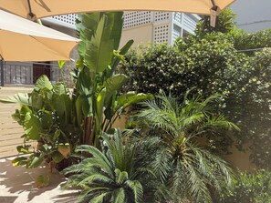 Un cortile con piante rigogliose, una palma e un edificio sullo sfondo con una facciata a traliccio.