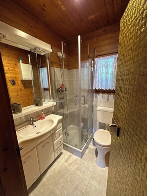 Un baño moderno con ducha envuelta en vidrio, un lavamanos blanco y un inodoro.