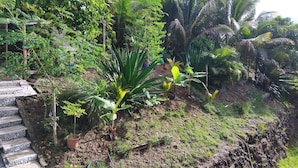A garden with various plants, a stone staircase, and a wooden fence. - T3 furnished, 2 air-conditioned bedrooms, terrace, located 5 minutes from southern beaches (Rivière-Pilote)