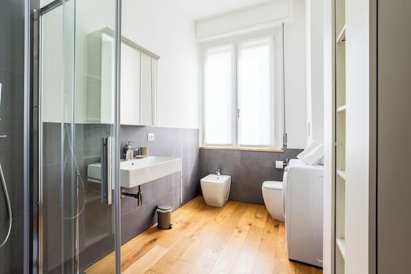 Shower, hair dryer, bidet, towels