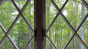 A window with a diamond pattern, overlooking a forested area.