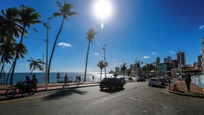 A coastal street with palm trees, a clear sky, and buildings in the background. - KITNET in the heart of Salvador/BA: Barra (Barra Salvador)