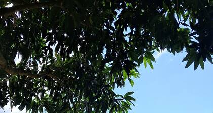 Tukamping #cabaña tucán