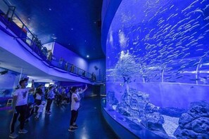 An aquarium with a large tank of fish, a viewing platform, and a walkway for visitors. - Waito Hotel (Guangzhou Kecun Metro Station Liying Plaza) (Guangzhou)