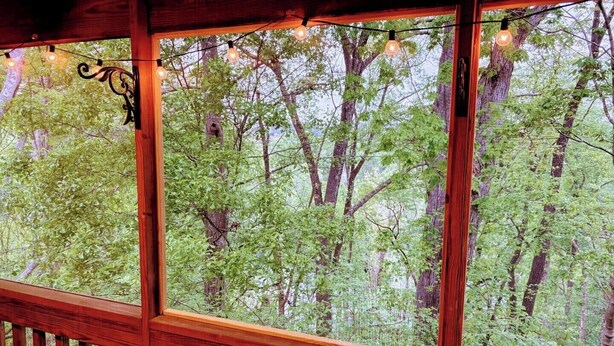 A wooden cabin with large windows overlooking a forest.