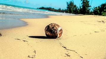 Sun loungers, beach towels