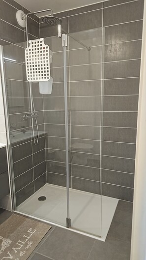 シャワー、ヘアドライヤー、タオル、トイレットペーパー
