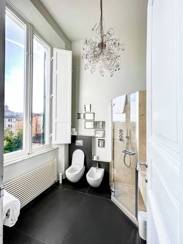 Shower, hair dryer, bidet, towels