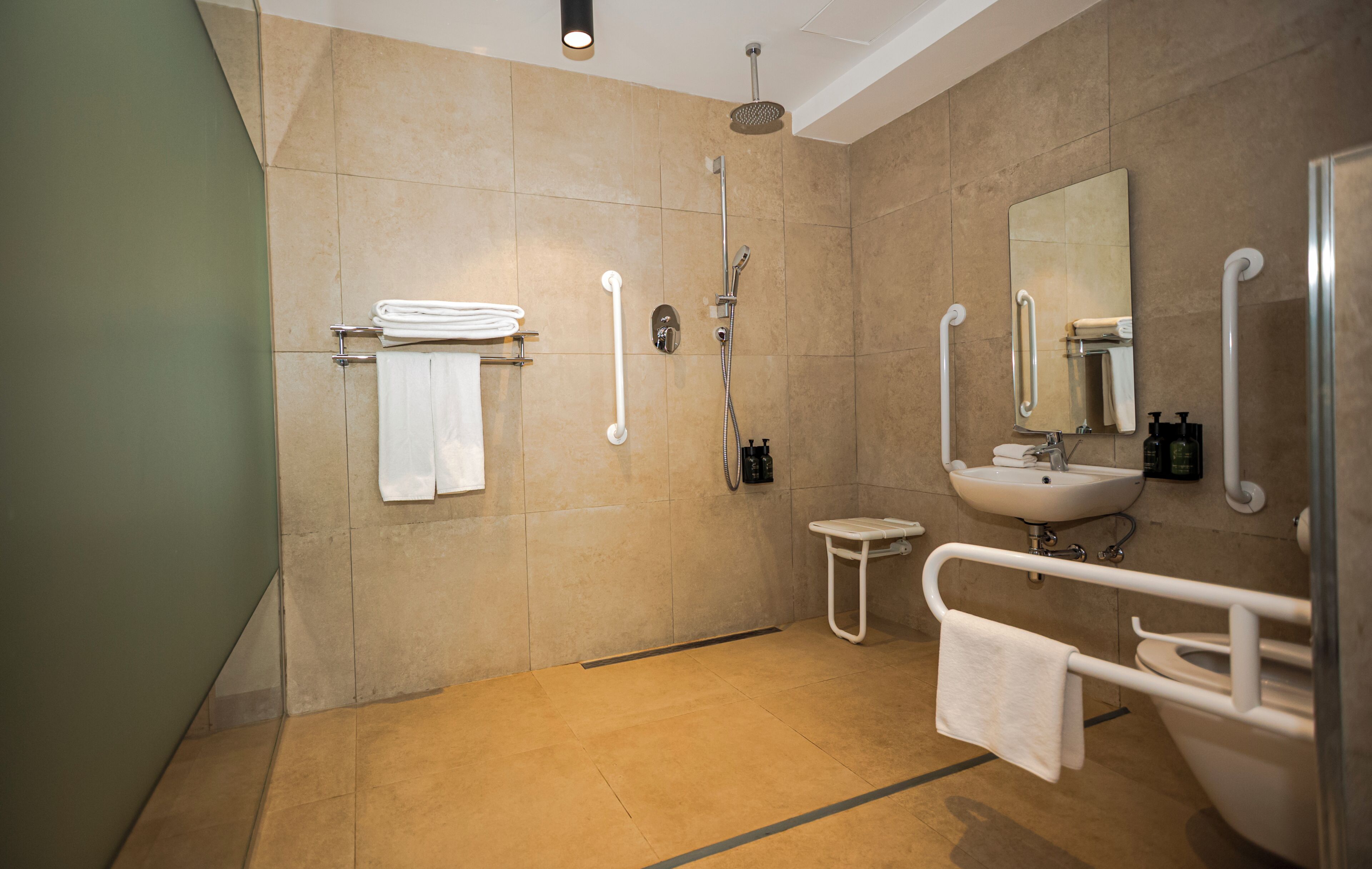 A modern bathroom with a shower, toilet, sink, and handrails.