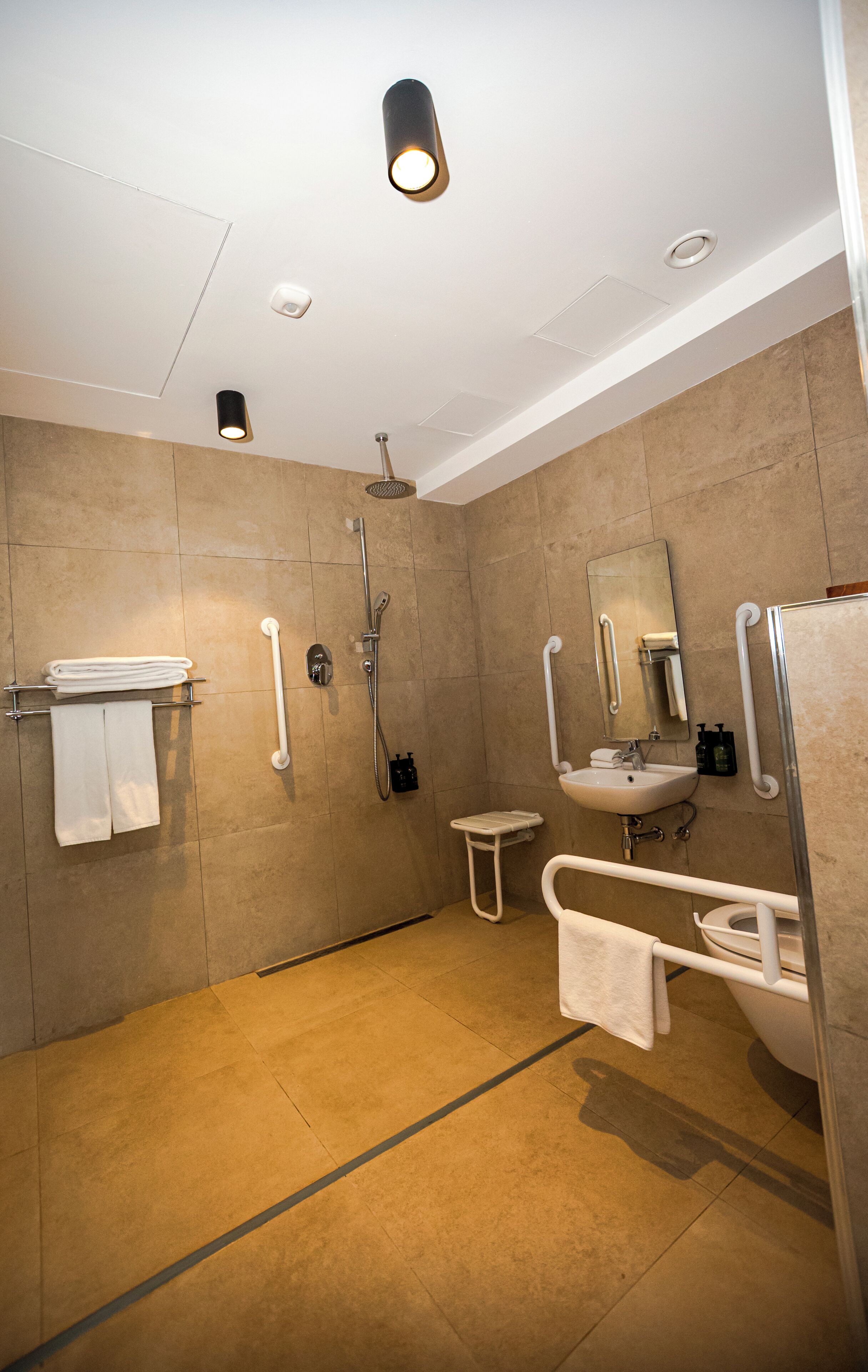 A modern bathroom with a shower, toilet, and sink, equipped with grab bars and a handrail.