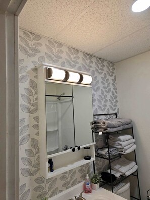 Regadera, secadora de cabello, toallas, shampoo