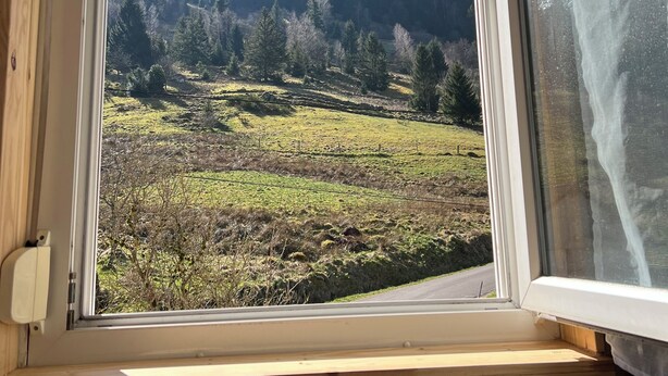 Ein Fenster mit Blick auf einen bewaldeten Hang und einen klaren Himmel.