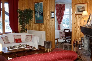 Fireplace, DVD player, books