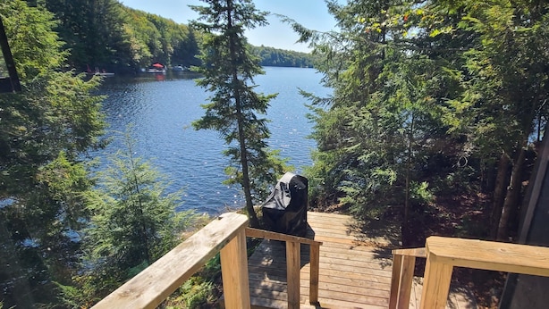 A wooden deck overlooking a lake with dense forest on one side and a building on the other.