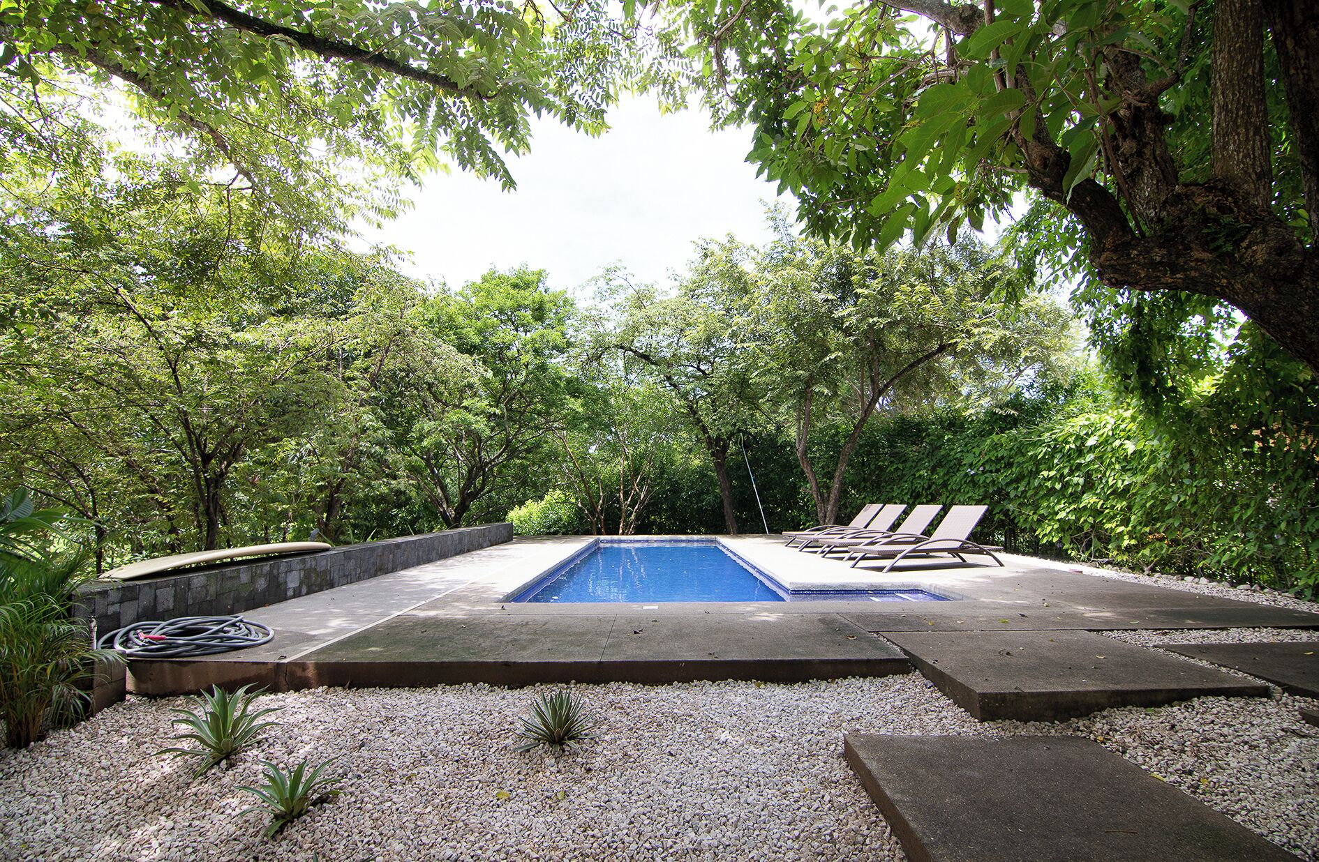Une piscine rectangulaire avec une plage en béton, entourée de gravier et de petites plantes. On y trouve des chaises longues et un enrouleur de tuyau.